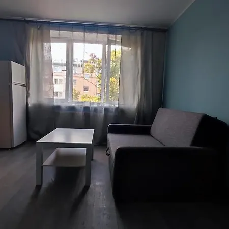 Burtnieku 33